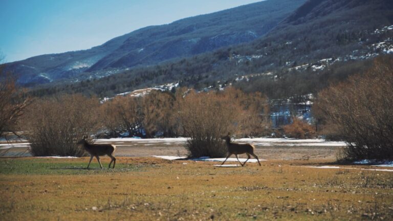 Commercial DU Park Abruzzo